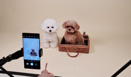 راهنمای عکاسی از حیوانات خانگی با گلکسی Note20 Ultra
