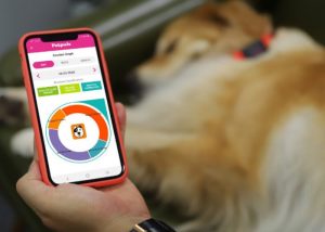 قلاده هوشمند با عنوان Petpuls AI-powered