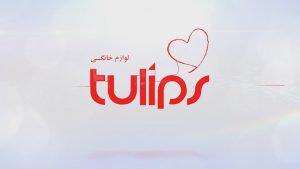 خدمات پس از فروش تولیپس