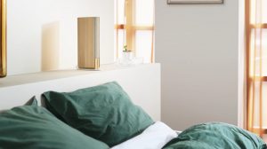 اسپیکر کتابی B&O
