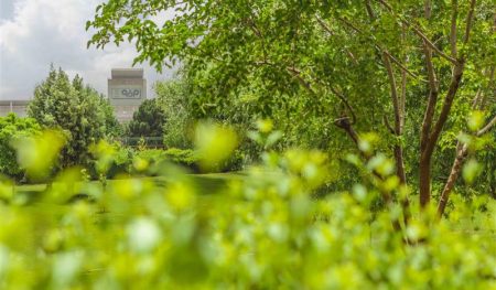 سرمایه‌گذاری برای تولید